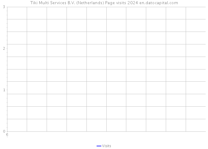 Tiki Multi Services B.V. (Netherlands) Page visits 2024 