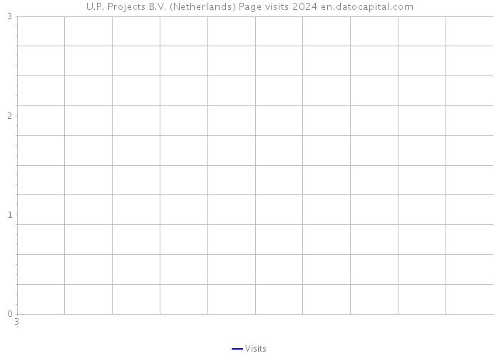U.P. Projects B.V. (Netherlands) Page visits 2024 