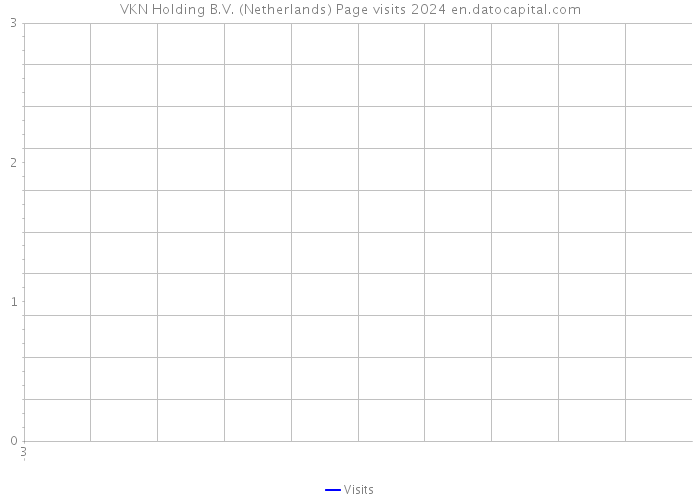 VKN Holding B.V. (Netherlands) Page visits 2024 