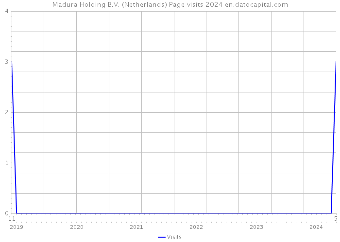 Madura Holding B.V. (Netherlands) Page visits 2024 