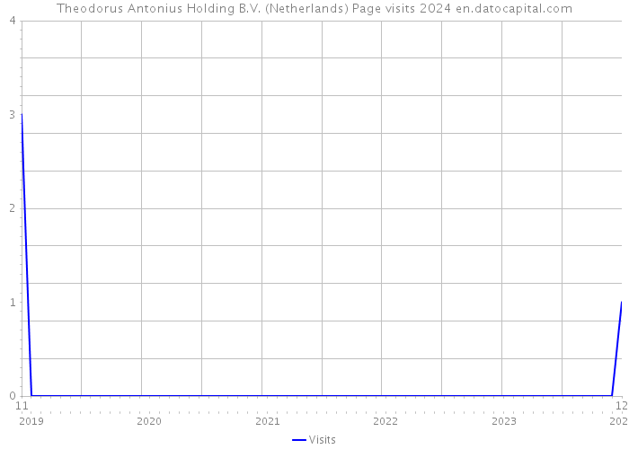 Theodorus Antonius Holding B.V. (Netherlands) Page visits 2024 