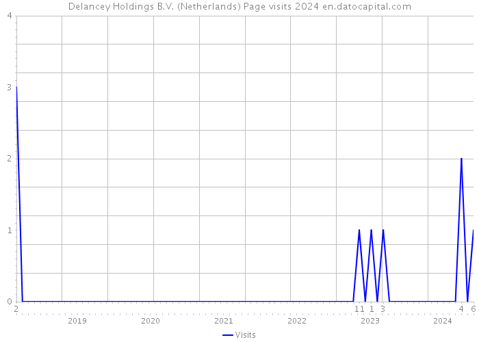 Delancey Holdings B.V. (Netherlands) Page visits 2024 