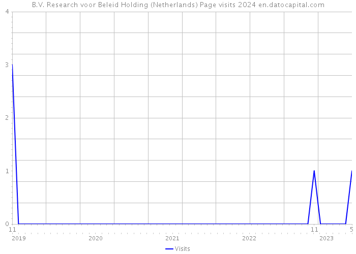 B.V. Research voor Beleid Holding (Netherlands) Page visits 2024 