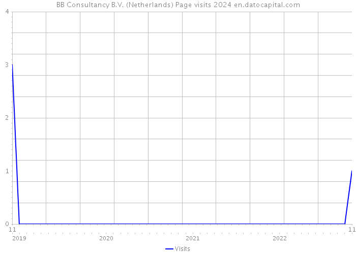BB Consultancy B.V. (Netherlands) Page visits 2024 