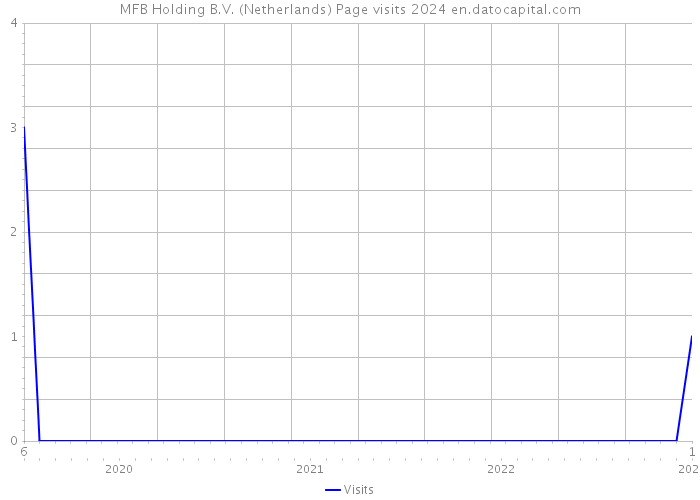 MFB Holding B.V. (Netherlands) Page visits 2024 