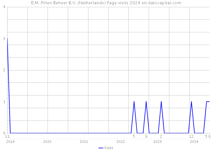 E.M. Pillen Beheer B.V. (Netherlands) Page visits 2024 