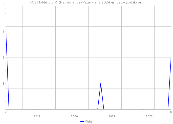 RGS Holding B.V. (Netherlands) Page visits 2024 