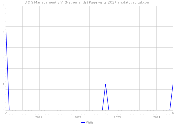 B & S Management B.V. (Netherlands) Page visits 2024 