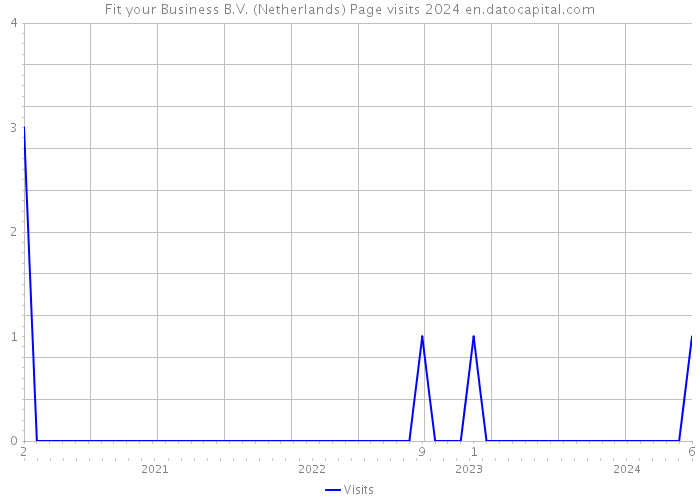Fit your Business B.V. (Netherlands) Page visits 2024 