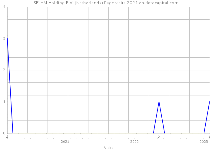 SELAM Holding B.V. (Netherlands) Page visits 2024 