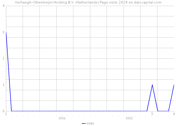 Verhaegh-Ottenheijm Holding B.V. (Netherlands) Page visits 2024 