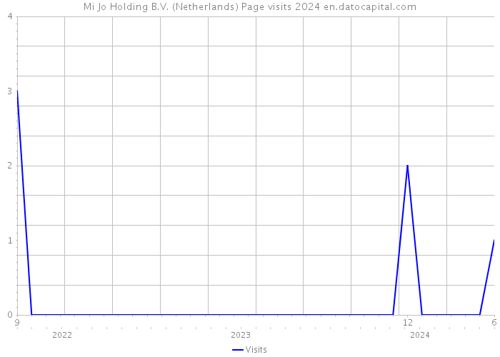 Mi Jo Holding B.V. (Netherlands) Page visits 2024 