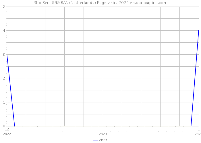 Rho Beta 999 B.V. (Netherlands) Page visits 2024 
