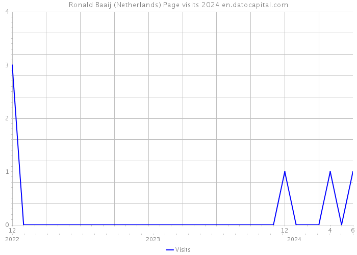 Ronald Baaij (Netherlands) Page visits 2024 
