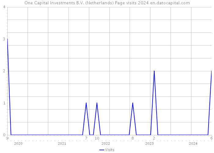 One Capital Investments B.V. (Netherlands) Page visits 2024 