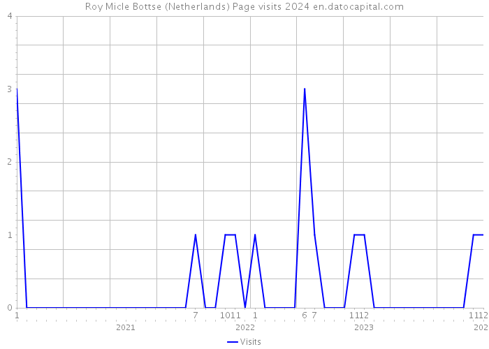 Roy Micle Bottse (Netherlands) Page visits 2024 