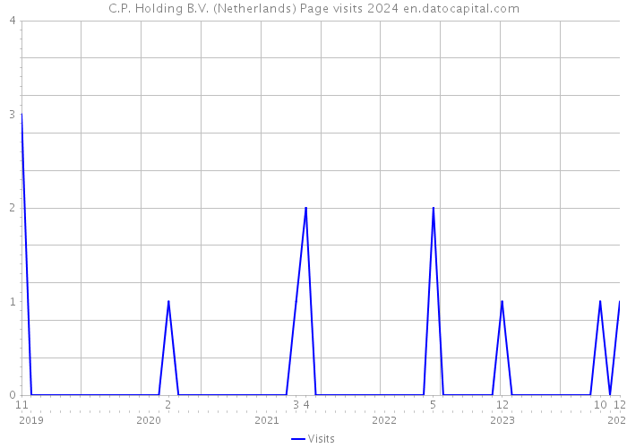 C.P. Holding B.V. (Netherlands) Page visits 2024 