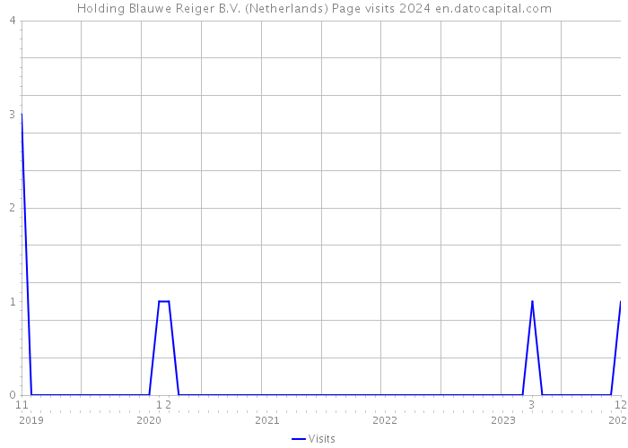 Holding Blauwe Reiger B.V. (Netherlands) Page visits 2024 
