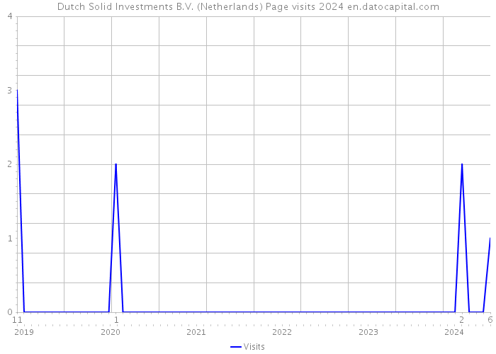 Dutch Solid Investments B.V. (Netherlands) Page visits 2024 