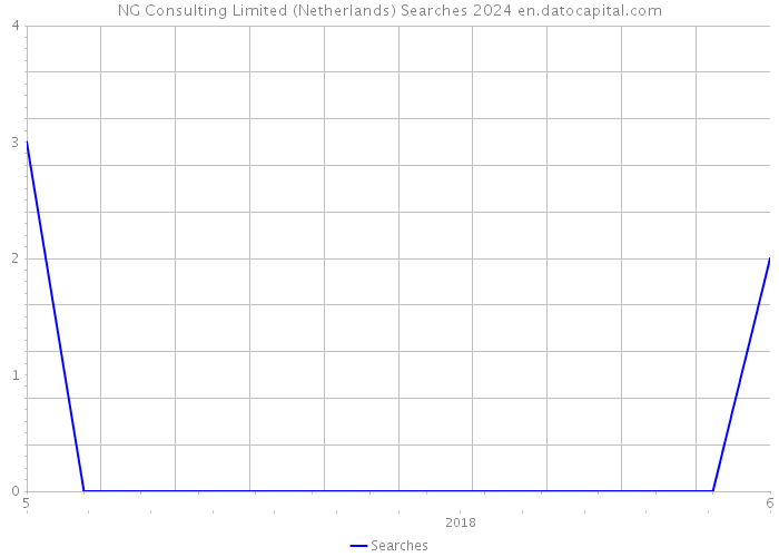 NG Consulting Limited (Netherlands) Searches 2024 