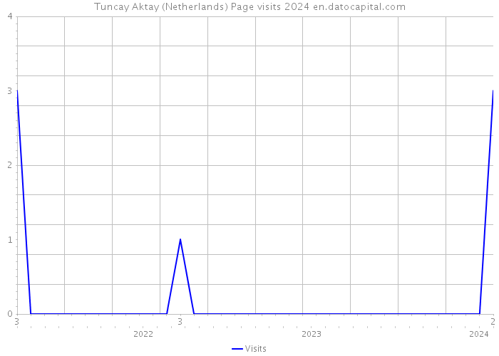 Tuncay Aktay (Netherlands) Page visits 2024 