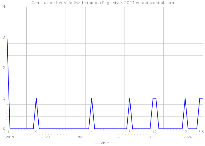 Camillus op het Veld (Netherlands) Page visits 2024 