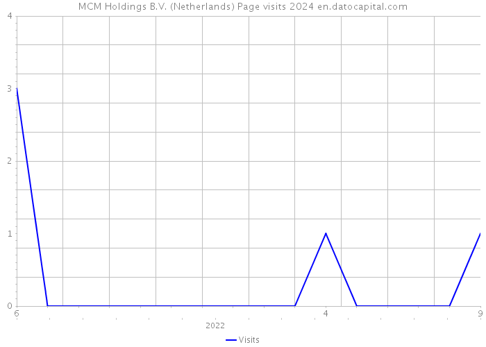 MCM Holdings B.V. (Netherlands) Page visits 2024 