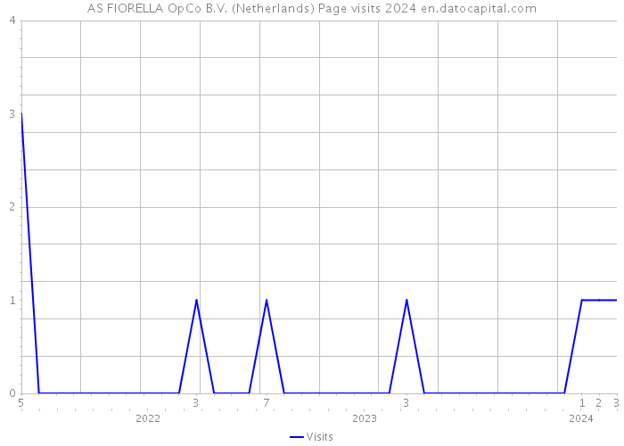 AS FIORELLA OpCo B.V. (Netherlands) Page visits 2024 