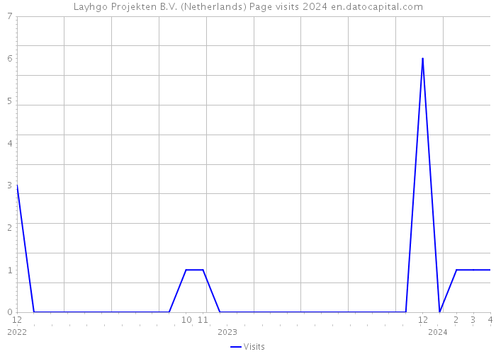 Layhgo Projekten B.V. (Netherlands) Page visits 2024 