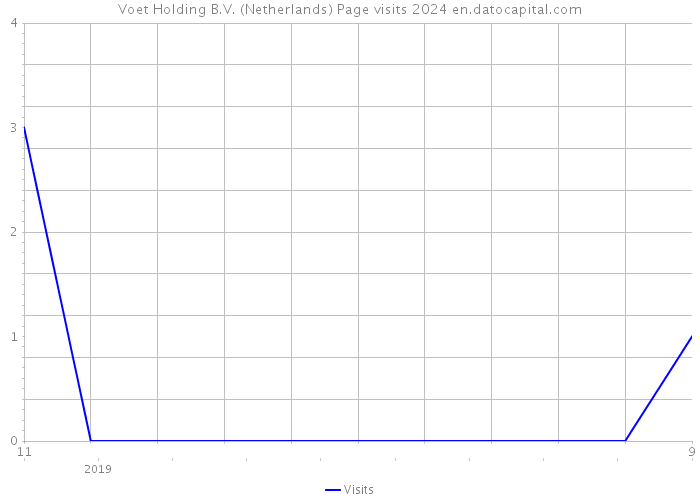 Voet Holding B.V. (Netherlands) Page visits 2024 