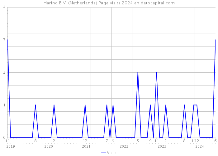 Haring B.V. (Netherlands) Page visits 2024 