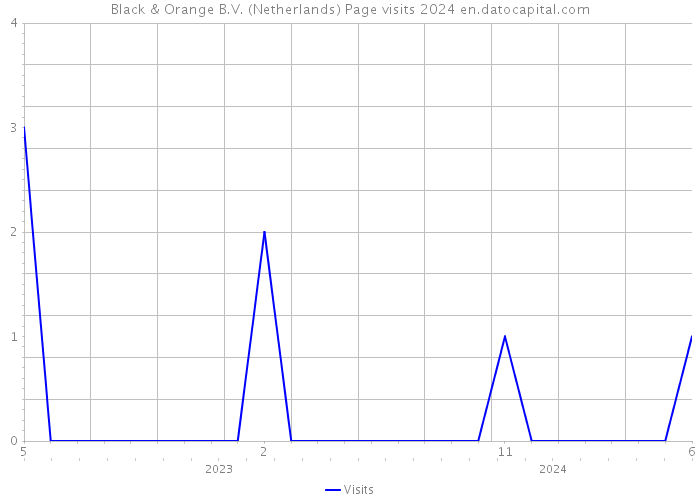 Black & Orange B.V. (Netherlands) Page visits 2024 