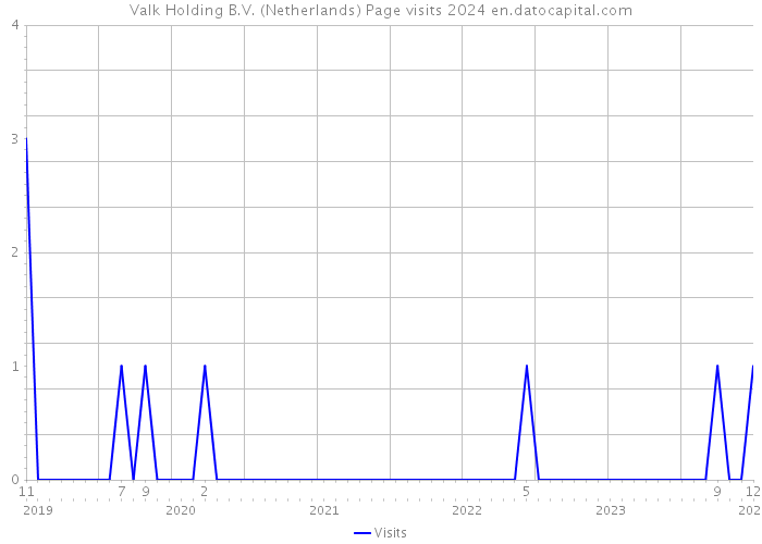 Valk Holding B.V. (Netherlands) Page visits 2024 