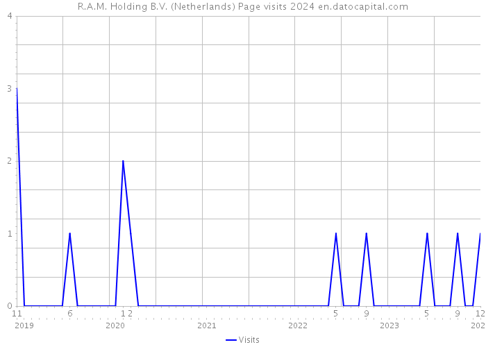 R.A.M. Holding B.V. (Netherlands) Page visits 2024 