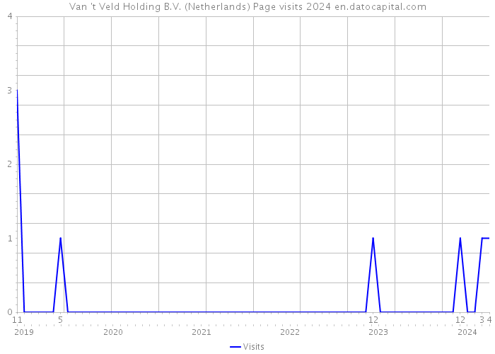 Van 't Veld Holding B.V. (Netherlands) Page visits 2024 
