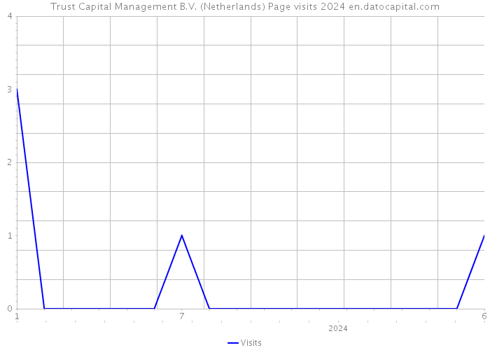 Trust Capital Management B.V. (Netherlands) Page visits 2024 