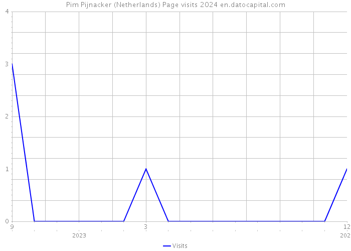 Pim Pijnacker (Netherlands) Page visits 2024 