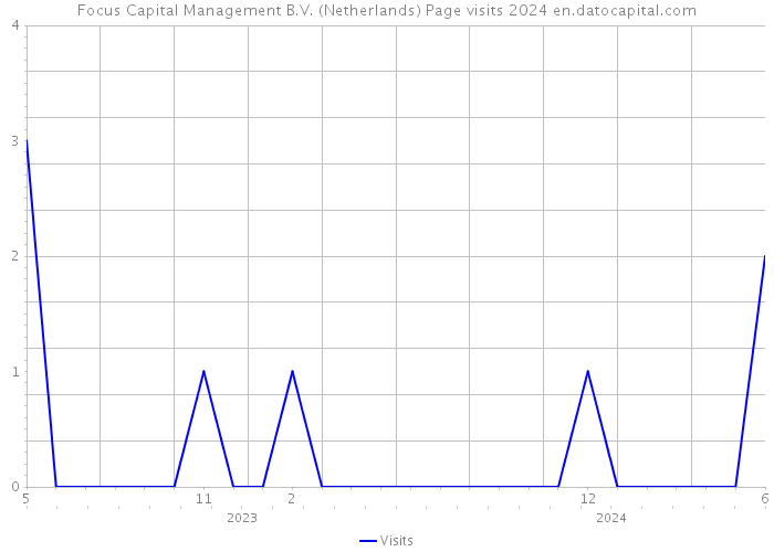 Focus Capital Management B.V. (Netherlands) Page visits 2024 