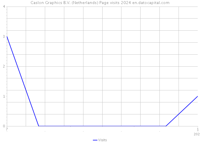 Caslon Graphics B.V. (Netherlands) Page visits 2024 