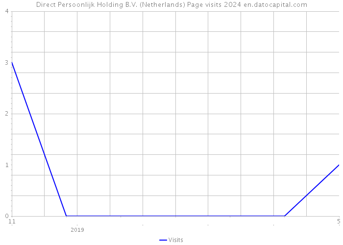 Direct Persoonlijk Holding B.V. (Netherlands) Page visits 2024 