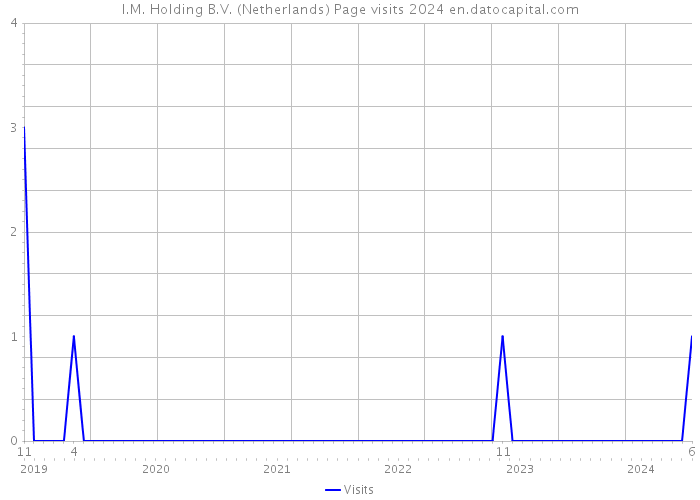 I.M. Holding B.V. (Netherlands) Page visits 2024 