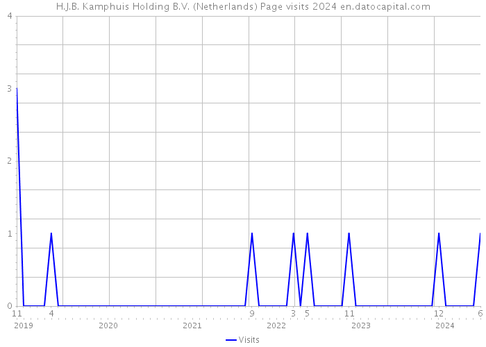 H.J.B. Kamphuis Holding B.V. (Netherlands) Page visits 2024 