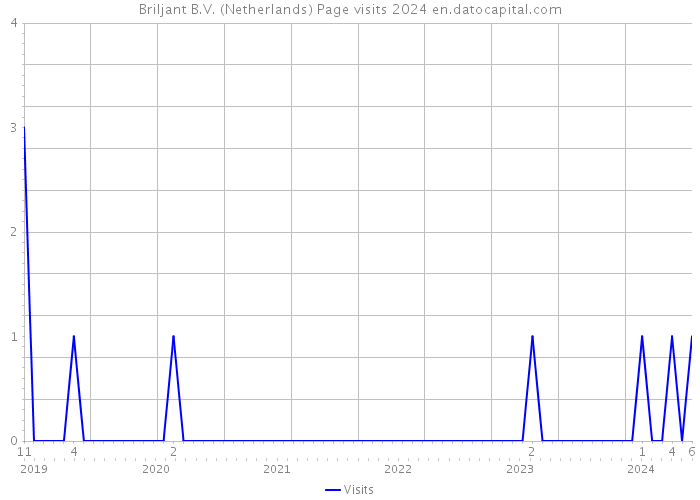 Briljant B.V. (Netherlands) Page visits 2024 