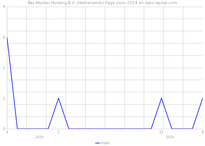 Bas Mulder Holding B.V. (Netherlands) Page visits 2024 