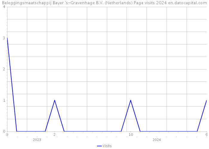Beleggingsmaatschappij Bayer 's-Gravenhage B.V. (Netherlands) Page visits 2024 