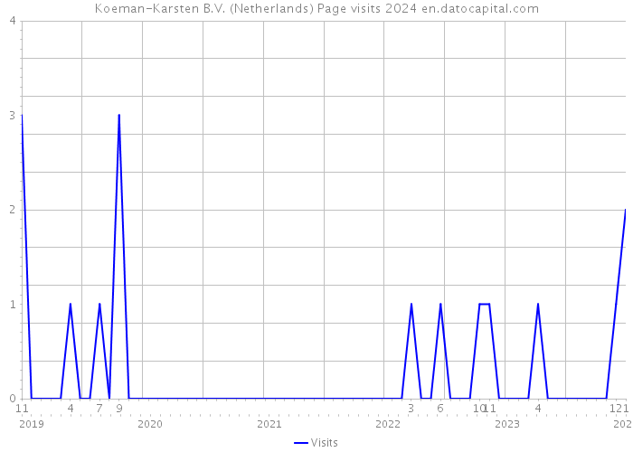 Koeman-Karsten B.V. (Netherlands) Page visits 2024 