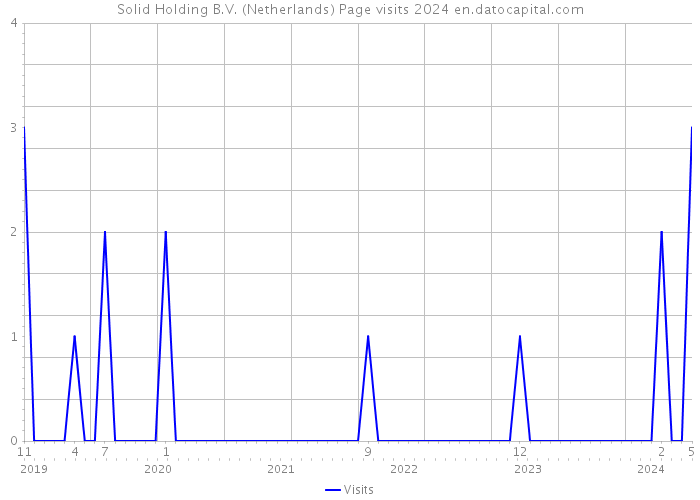 Solid Holding B.V. (Netherlands) Page visits 2024 