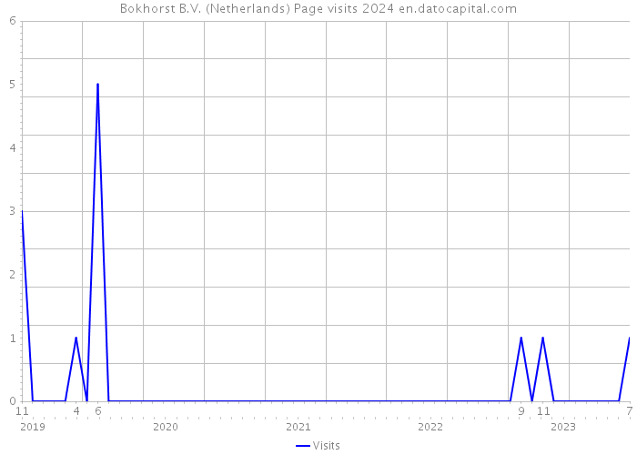 Bokhorst B.V. (Netherlands) Page visits 2024 
