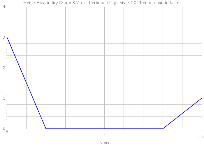 Meijer Hospitality Group B.V. (Netherlands) Page visits 2024 