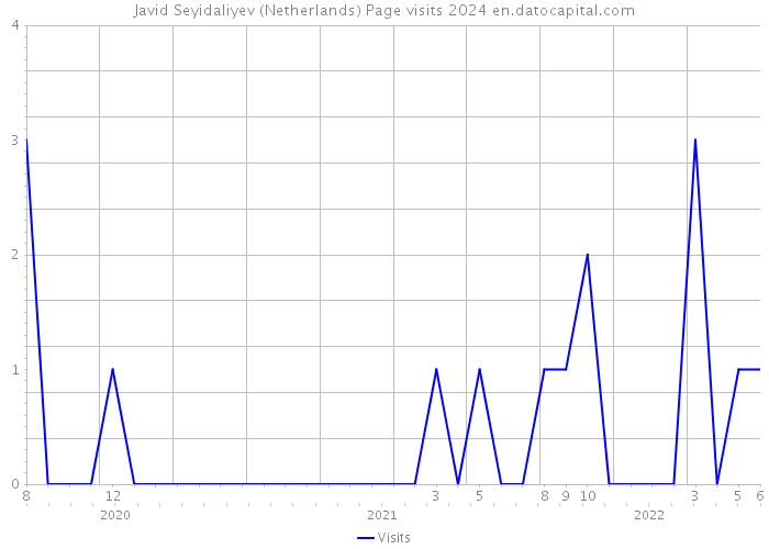 Javid Seyidaliyev (Netherlands) Page visits 2024 